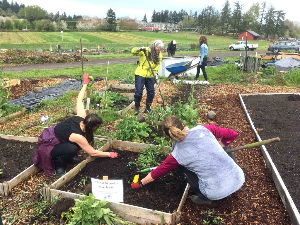 Volunteer – Niagara Community Garden Network